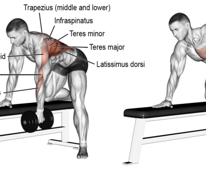 Lower Back Exercise
