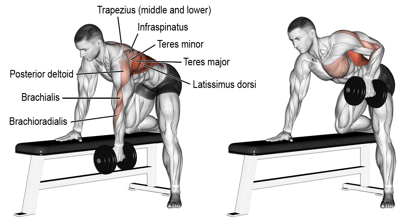 Lower Back Exercise